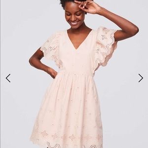 Ann Taylor Loft Blush Pink Eyelet Dress